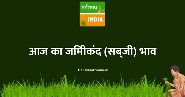 जिमीकंद (सब्जी) भाव